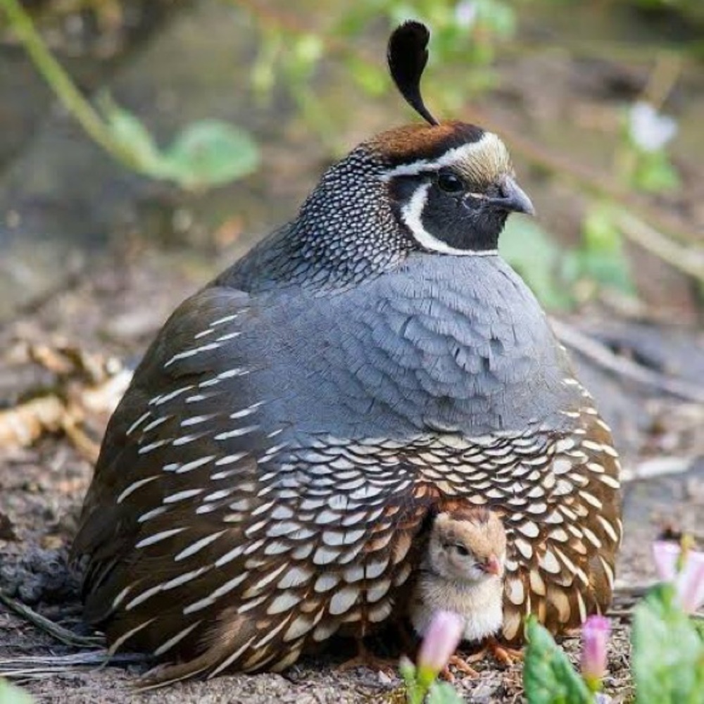 Meet your Posher, Mandy!